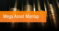 Mega Asset Mantap