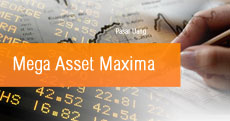 Mega Asset Maxima