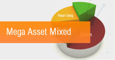 Mega Asset Mixed