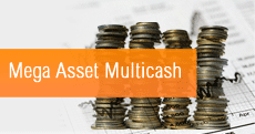 Mega Asset Multicash